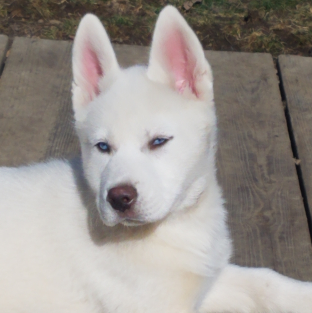 Meet your Posher, Stacey